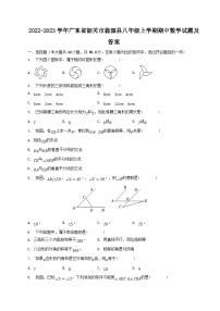 2022-2023学年广东省韶关市翁源县八年级上学期期中数学试题及答案