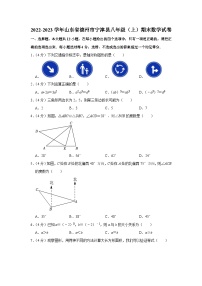 2022-2023学年山东省德州市宁津县八年级（上）期末数学试卷
