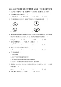 2022-2023学年湖南省株洲市醴陵市七年级（下）期末数学试卷