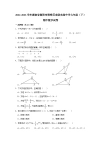 2022-2023学年湖南省衡阳市雁峰区成章实验中学七年级（下）期中数学试卷