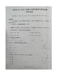 云南省文山州文山市2023-2024学年上学期八年级学业水平质量监测数学试卷