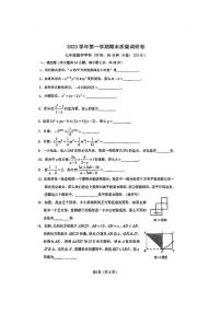 上海市杨浦区2023-2024学年七年级上学期数学期末试题