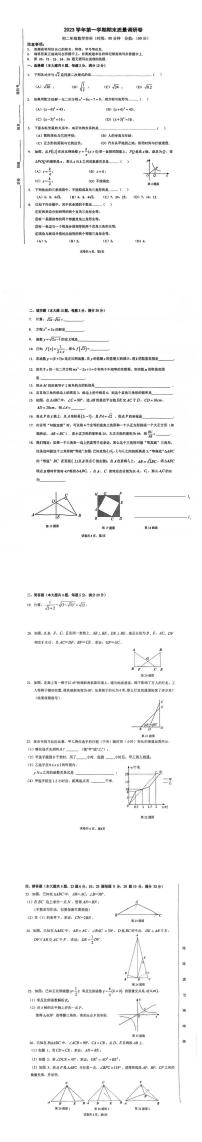 上海市杨浦区2023-2024学年八年级上学期数学期末试题