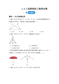 初中数学青岛版八年级上册1.2 怎样判定三角形全等优秀同步测试题