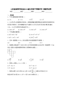 山东省淄博市桓台县2024届九年级下学期中考二模数学试卷(含答案)