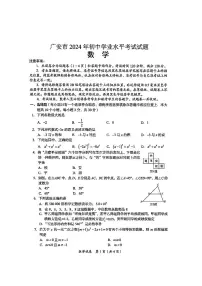 2024年四川省广安市中考真题数学试卷及答案