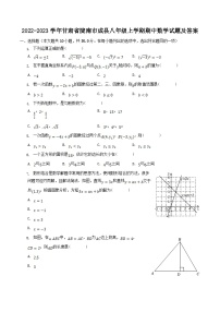 2022-2023学年甘肃省陇南市成县八年级上学期期中数学试题及答案
