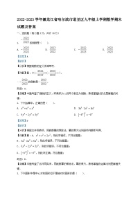 2022-2023学年黑龙江省哈尔滨市道里区九年级上学期数学期末试题及答案