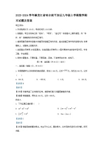 2023-2024学年黑龙江省哈尔滨平房区九年级上学期数学期末试题及答案