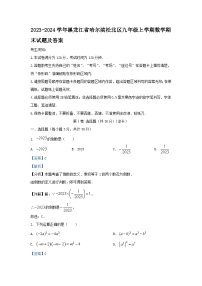 2023-2024学年黑龙江省哈尔滨松北区九年级上学期数学期末试题及答案