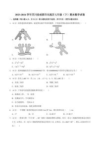 四川成都双流区2024年七年级下学期期末数学试卷+答案