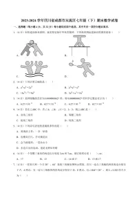 四川成都双流区2024年七年级下学期期末数学试卷+答案