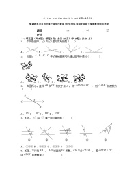 [数学][期中]新疆维吾尔自治区喀什地区巴楚县2023-2024学年七年级下学期数学期中试题