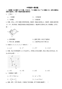 河北省邯郸市2024年中考数学一模试题附答案