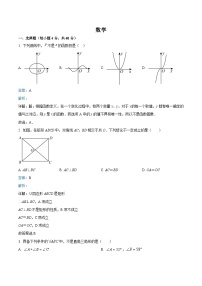 福州金山中学2024届九年级上学期开学考试数学试卷(含解析)