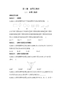 初中数学青岛版八年级上册1.1 全等三角形优秀练习题