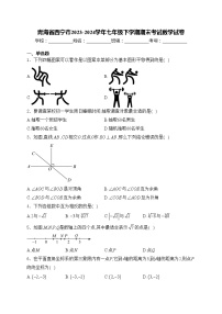 青海省西宁市2023-2024学年七年级下学期期末考试数学试卷(含答案)