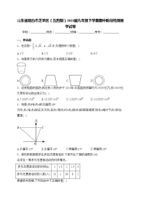 山东省烟台市芝罘区（五四制）2023届九年级下学期期中阶段检测数学试卷(含答案)