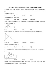 2023-2024学年北京市朝阳区七年级下学期期末数学试题（含详细答案解析）