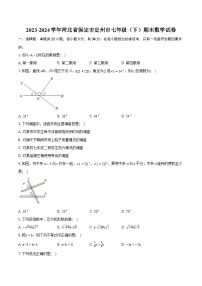 2023-2024学年河北省保定市定州市七年级（下）期末数学试卷（含详细答案解析）