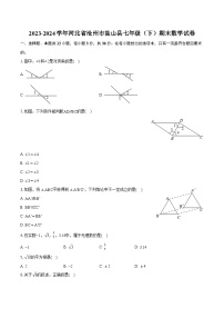 2023-2024学年河北省沧州市盐山县七年级（下）期末数学试卷（含详细答案解析）