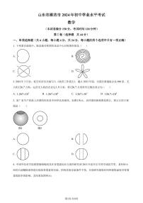 2024年山东省潍坊市中考真题数学试题+答案