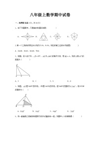 八年级上学期期中考试数学试题