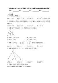 江西省萍乡市2023-2024学年七年级下学期4月期中考试数学试卷(含答案)