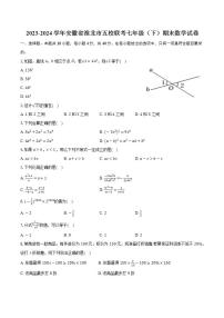 2023-2024学年安徽省淮北市五校联考七年级（下）期末数学试卷（含答案）