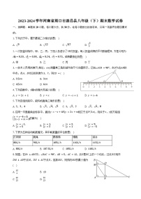 2023-2024学年河南省周口市鹿邑县八年级（下）期末数学试卷（含答案）