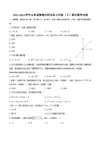 2023-2024学年山东省聊城市阳谷县七年级（下）期末数学试卷（含答案）