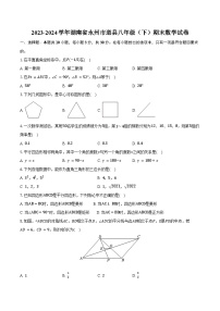2023-2024学年湖南省永州市道县八年级（下）期末数学试卷（含答案）