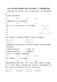 2023-2024学年山东省济宁市汶上县七年级（下）期末数学试卷（含答案）
