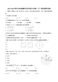 2023-2024学年山东省德州市齐河县七年级（下）期末数学试卷（含答案）