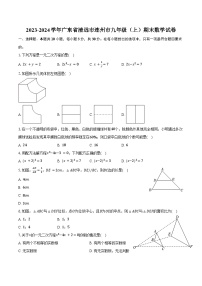 2023-2024学年广东省清远市连州市九年级（上）期末数学试卷（含答案）