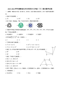 2023-2024学年湖南省永州市祁阳市七年级（下）期末数学试卷（含答案）