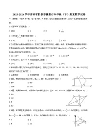 2023-2024学年吉林省长春市德惠市八年级（下）期末数学试卷（含答案）