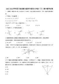 2023-2024学年四川省成都市嘉祥外国语七年级（下）期中数学试卷（含答案）