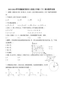 2023-2024学年福建省龙岩市上杭县八年级（下）期末数学试卷（含答案）
