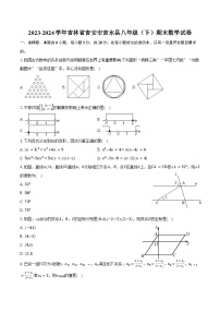 2023-2024学年吉林省吉安市吉水县八年级（下）期末数学试卷（含答案）