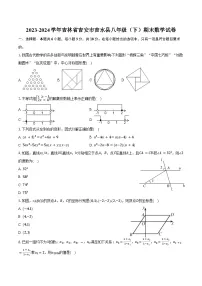 2023-2024学年吉林省吉安市吉水县八年级（下）期末数学试卷（含答案）