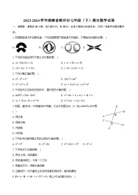 2023-2024学年湖南省郴州市七年级（下）期末数学试卷（含答案）
