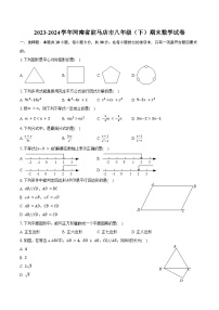 2023-2024学年河南省驻马店市八年级（下）期末数学试卷（含答案）