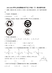 2023-2024学年山东省聊城市茌平区八年级（下）期末数学试卷（含答案）