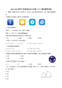 2023-2024学年广东省茂名市八年级（下）期末数学试卷（含答案）