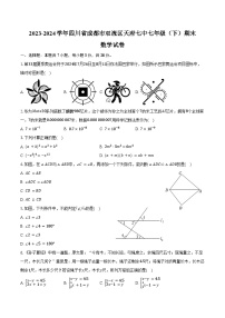 2023-2024学年四川省成都市双流区天府七中七年级（下）期末数学试卷（含答案）