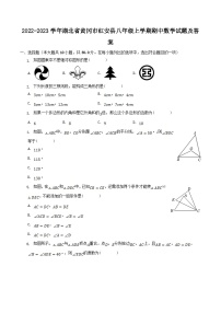 2022-2023学年湖北省黄冈市红安县八年级上学期期中数学试题及答案