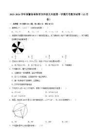 2023-2024学年安徽省阜阳市太和县九年级（上）月考数学试卷（12月份） （含解析）