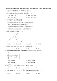 2023-2024学年河北省邯郸市丛台区汉光中学七年级（下）期末数学试卷 （含解析）