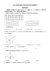 2024年河北省中考数学真题试卷及答案解析